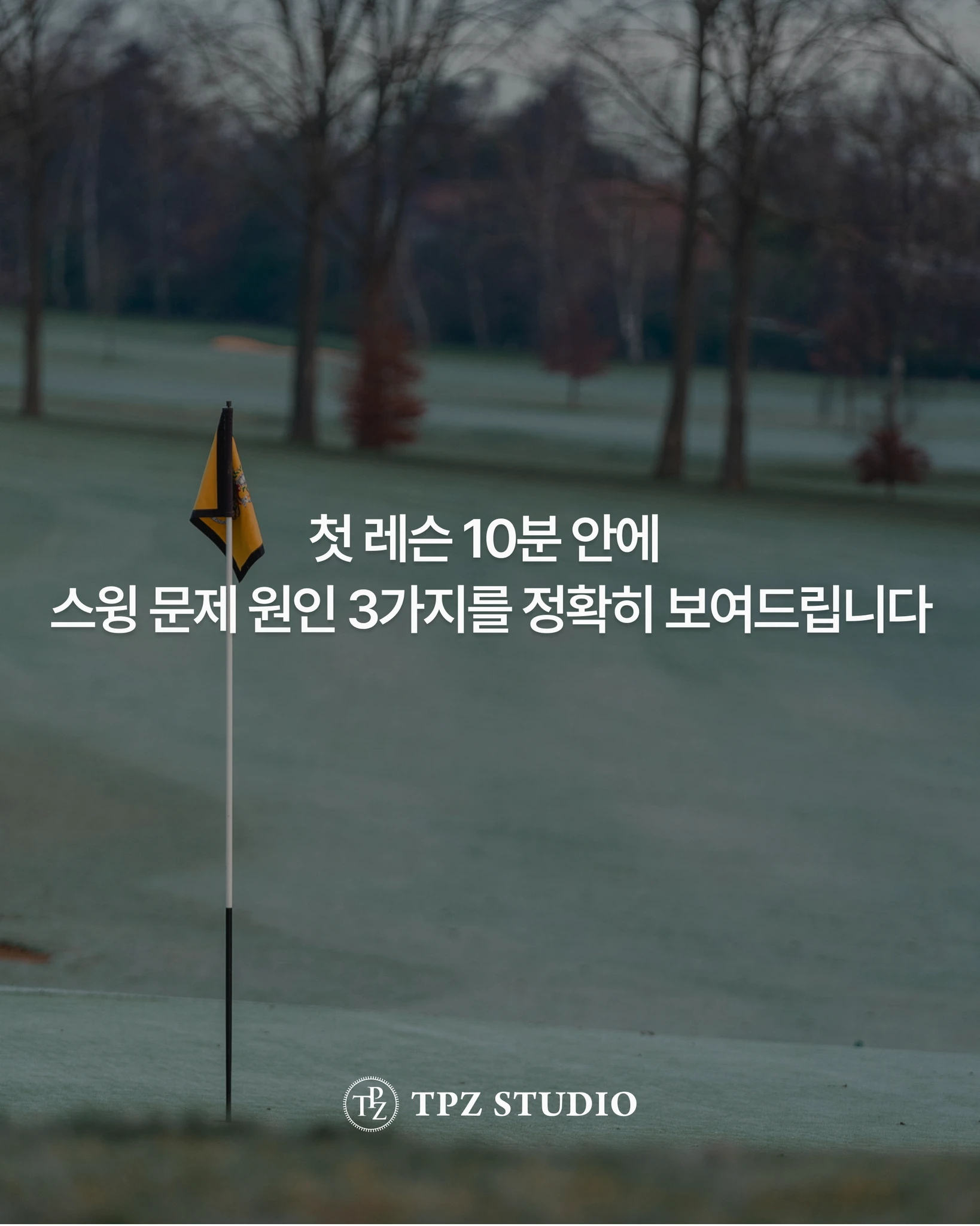 세계적인 스윙 트렌드와 실제 투어 동작 (8회) 상세 이미지 6